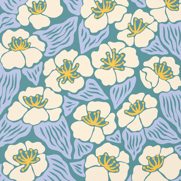 Rock Roses Art Print