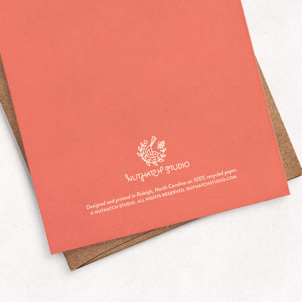 Swans Holiday Greeting Card