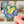 Squirrel & Acorns Sticker