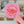 Earth Day Every Day Butterfly Sticker