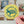Earth Day Every Day Turtle Sticker