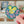 Squirrel & Acorns Sticker